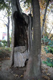 تهرانگردی امروز احمد مسجد جامعی در منطقه یک  - باغ فردوس